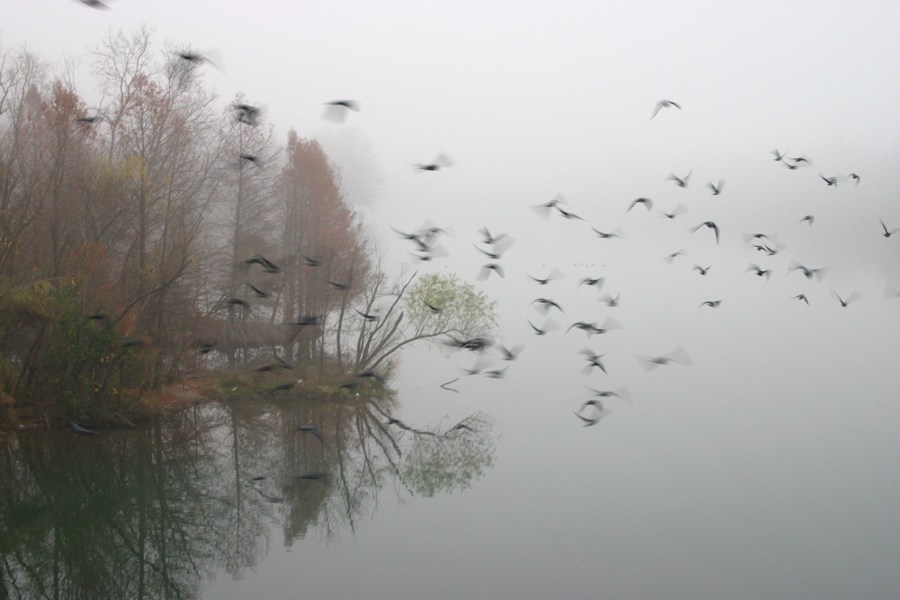 Town Lake Hike & Bike Trail - Early Morning