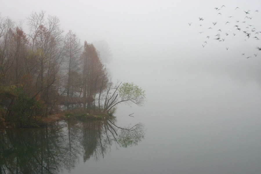 Town Lake Hike & Bike Trail - Early Morning