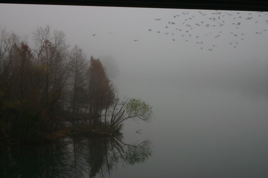 Town Lake Hike & Bike Trail - Early Morning