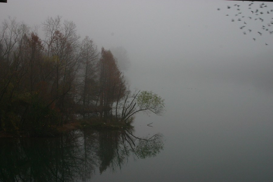 Town Lake Hike & Bike Trail - Early Morning