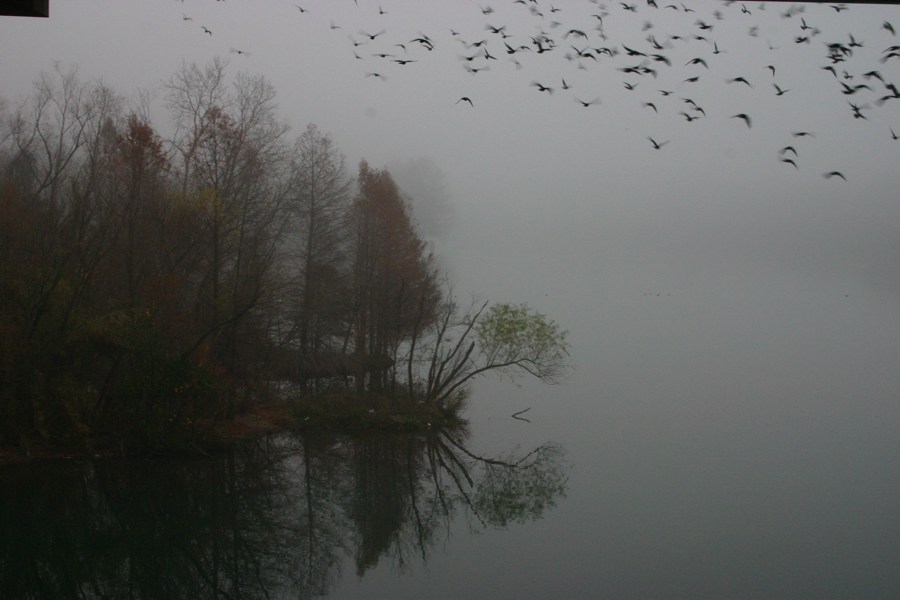 Town Lake Hike & Bike Trail - Early Morning