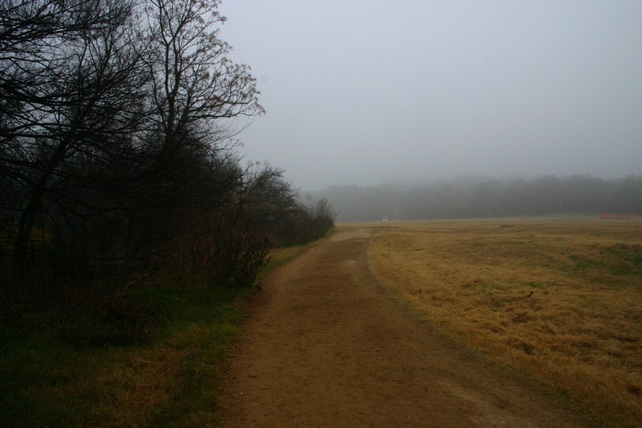 Town Lake Hike & Bike Trail - Early Morning