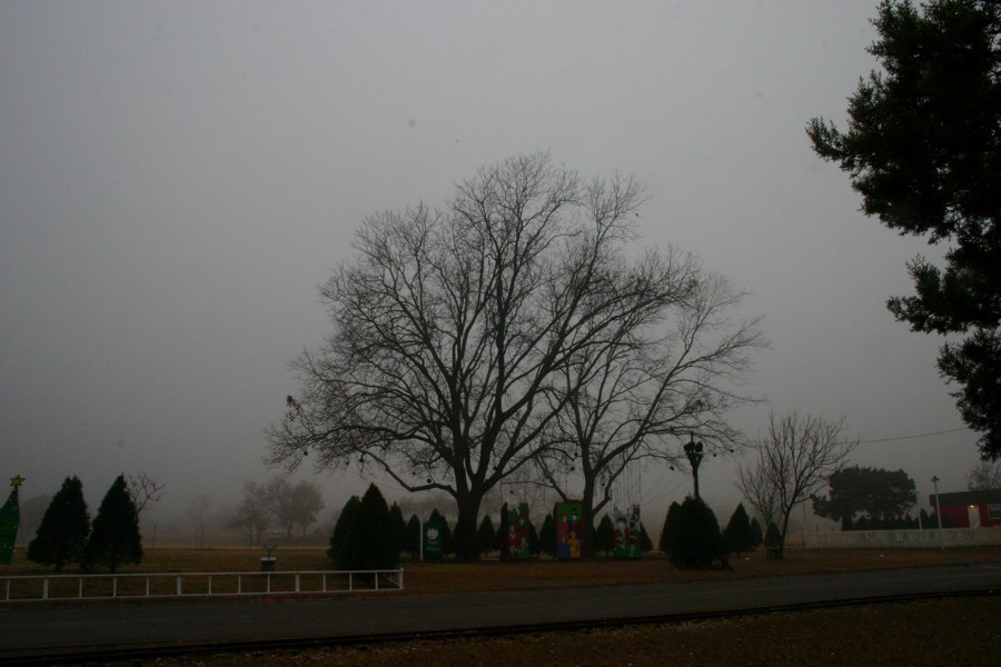 Remains of the Trail of LIghts