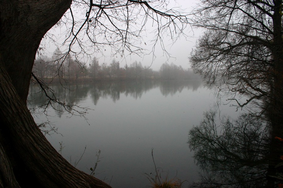 Town Lake Hike & Bike Trail - Early Morning