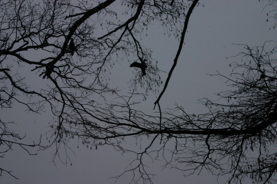 Town Lake Hike & Bike Trail - Early Morning