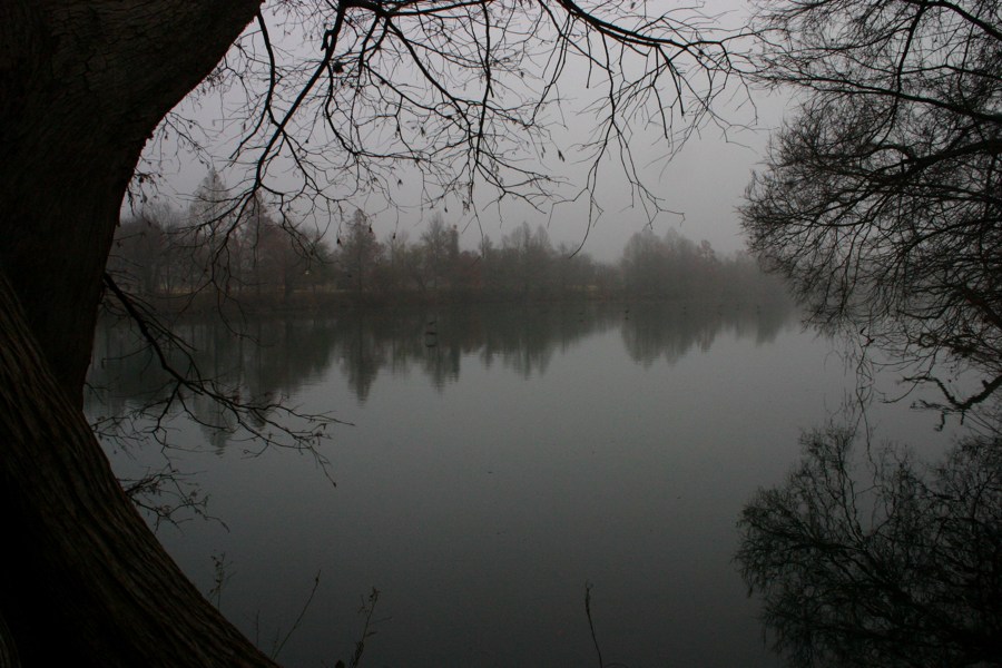 Town Lake Hike & Bike Trail - Early Morning