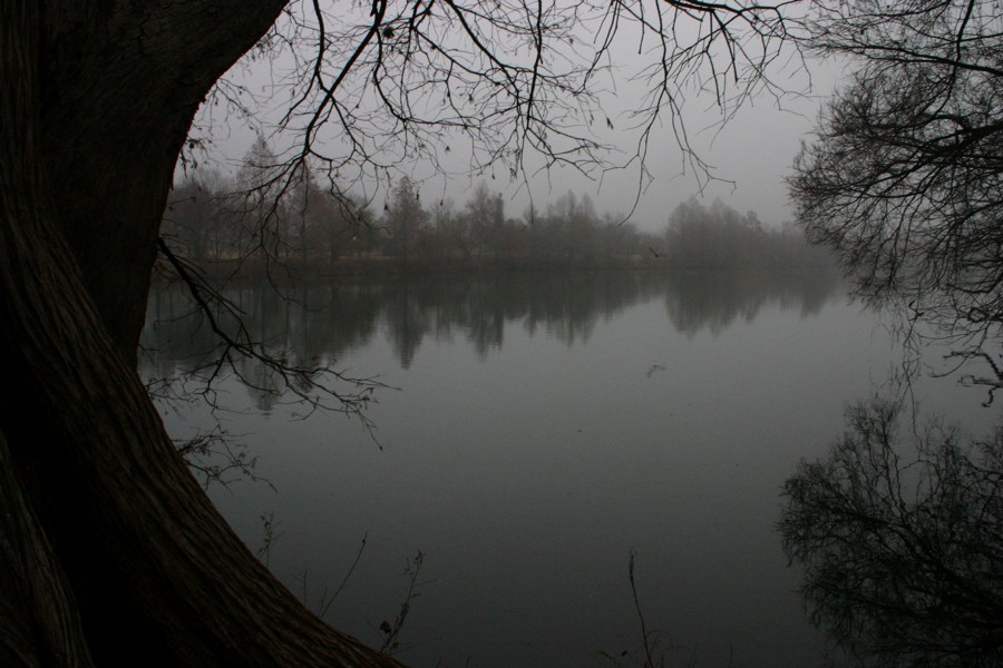 Town Lake Hike & Bike Trail - Early Morning