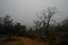 Town Lake Hike & Bike Trail - Early Morning