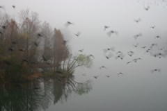 Town Lake Hike & Bike Trail - Early Morning