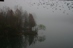 Town Lake Hike & Bike Trail - Early Morning