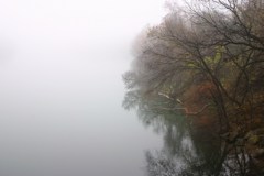 Town Lake Hike & Bike Trail - Early Morning