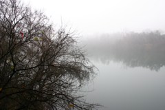 Town Lake Hike & Bike Trail - Early Morning