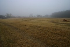 Town Lake Hike & Bike Trail - Early Morning