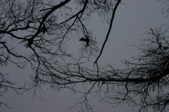 Town Lake Hike & Bike Trail - Early Morning