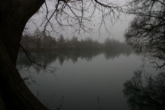 Town Lake Hike & Bike Trail - Early Morning